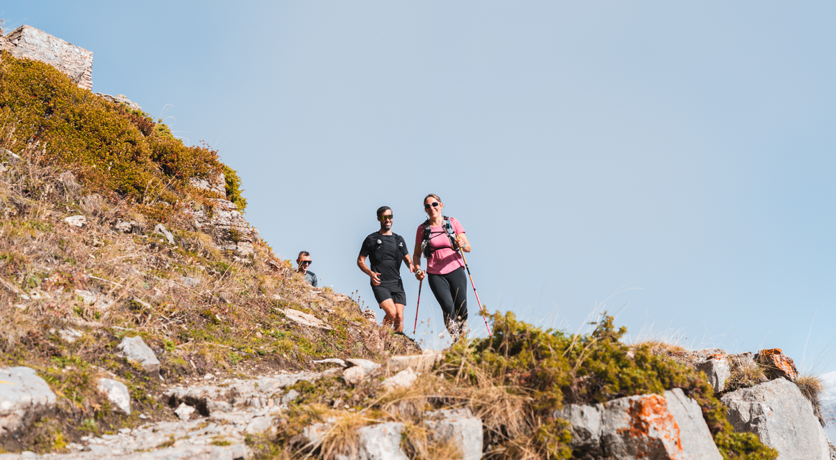 Wild Trail Reallon - Wild Trail Reallon