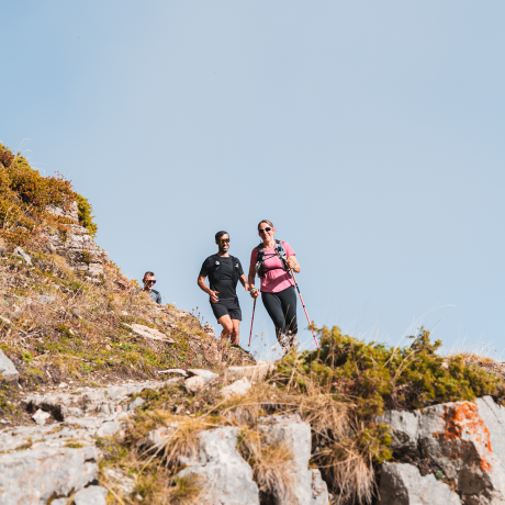 Wild Trail Reallon - Wild Trail Reallon