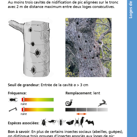 flûte de pic flûte de pic