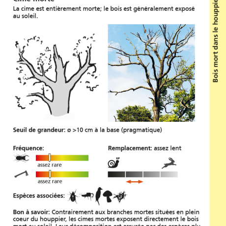 cime morte cime morte
