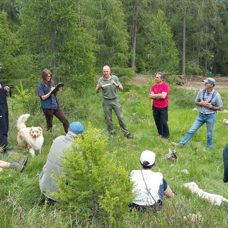 Sortie forêt Sortie forêt