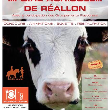 foire aux bestiaux reallon 2018