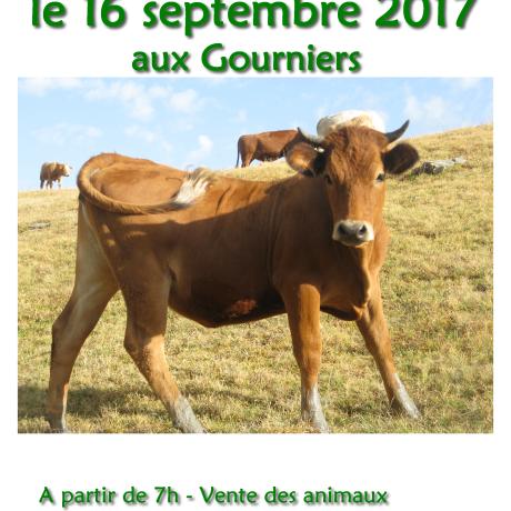 foire aux bestiaux réallon