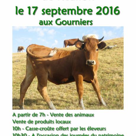 Foire aux bestiaux Réallon 2016